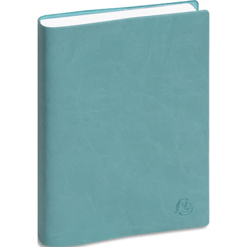 [381080] EXA JOURNALIER WINNER 17X12 ASS 17641E