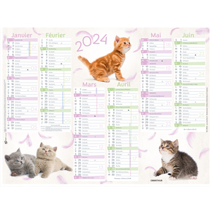 [383433] OBT CALENDRIER CHATON 21X27 27026