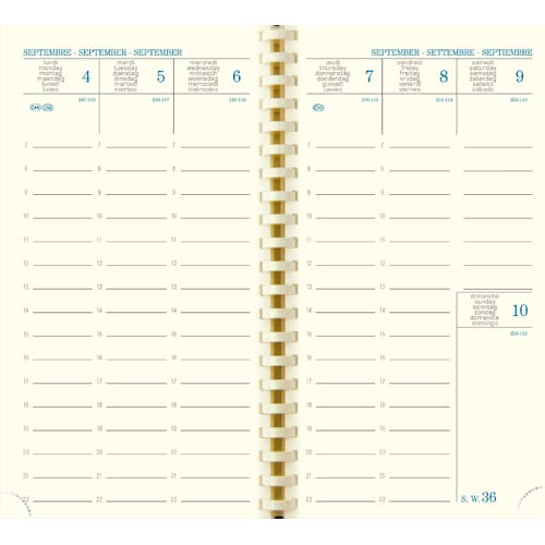 [392006] EXA AGENDA VERONE SAD 9X16 ASS 16777E