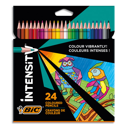 BIC B/24 CRAY COUL INTENSITY 9641482       999W