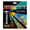 BIC B/24 CRAY COUL INTENSITY 9641482       999W