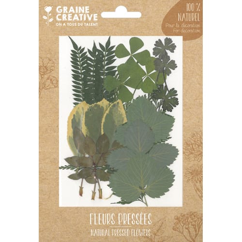 [461647] GCT S/21 FEUILLES SECHEES FOREST 200271       999W