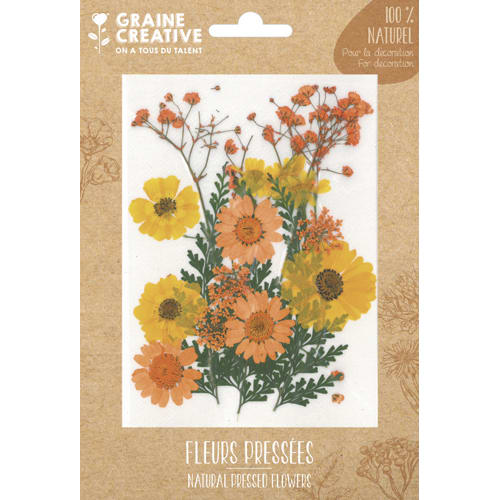 [461650] GCT S/18 FLEURS SECHEES PRAIRIE 200274