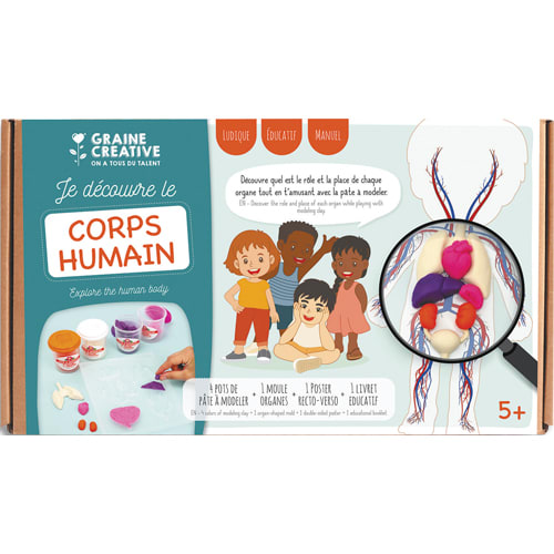 [461662] GCT KIT MOULAGE EDUCATIF ANATOMIE 500107