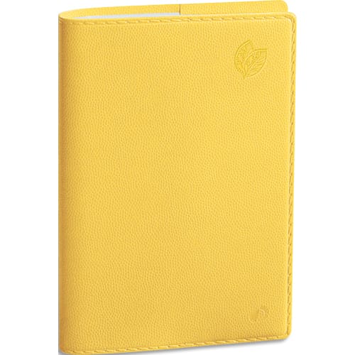 QUO AGD EQUO MINISTR 16X24 JAUNE 015958Q