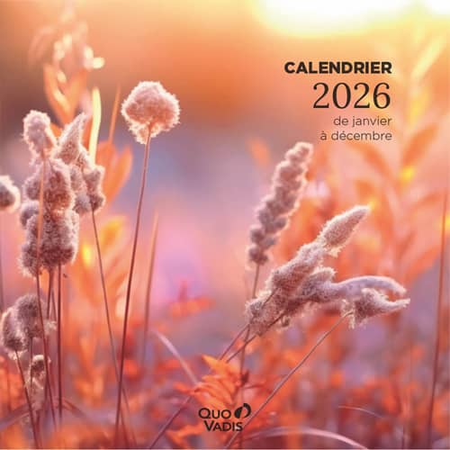 [478313] QUO CALEND FANTAISIE 30 X 30 CM SPIRALÉ 12 MOIS JANVIER - DÉCEMBRE - 200 G