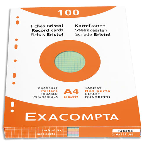 [465115] EXA E/100 BRIST PERF A4 5X5 ASS 13656E       400A