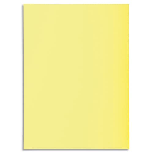 EXA P/100 S/CHEM SUPER 60G JAUNE 850105E       219A