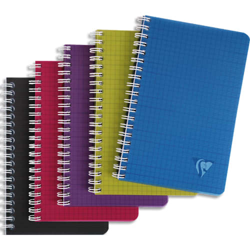 [465333] CLF CARNET RI 110X170 100P5X5 ASS329535C       386B