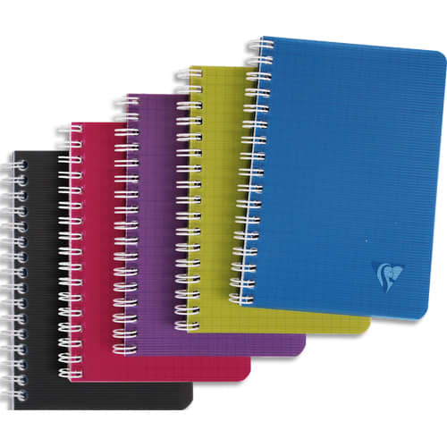 [465334] CLF CARNET RI 90X140 100P 5X5 ASS329525C       386B