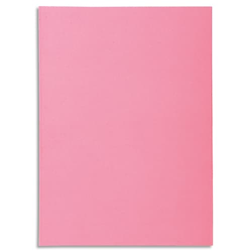 EXA P/100 S/CHEM SUPER 60G ROSE 850103E