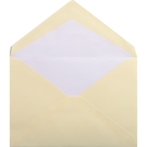 [466946] LALO PAQ/25 ENV C5 IVOIR 100G GOM 20816L