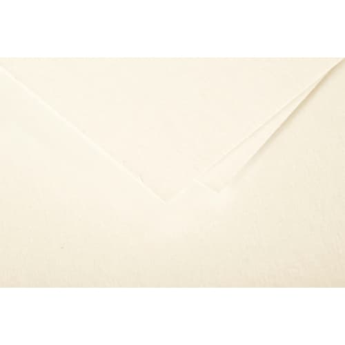 [466960] CLF ET/25F A4 POLLEN IVOIRE 210G 24204C