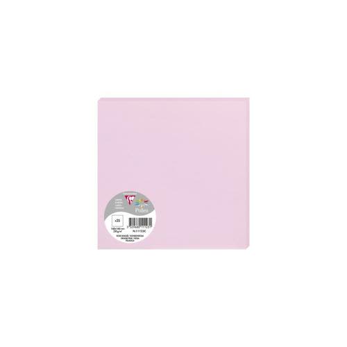 [469835] CLF P/25 CTE 160X160 POLL ROSE DR 11123C