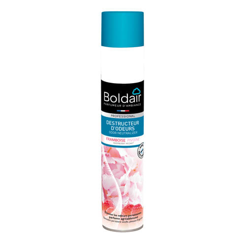 [480342] BOL AEROS DESTRUC 500ML FRAMB PV11617201       501B