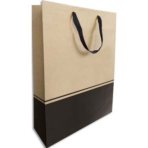 [480486] EMB P/10 SAC BTLE SED 27X38,5CM 38A3942       454C